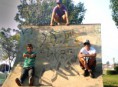 /album/fotos-/biel-babauh-bruninho-copia-jpg/